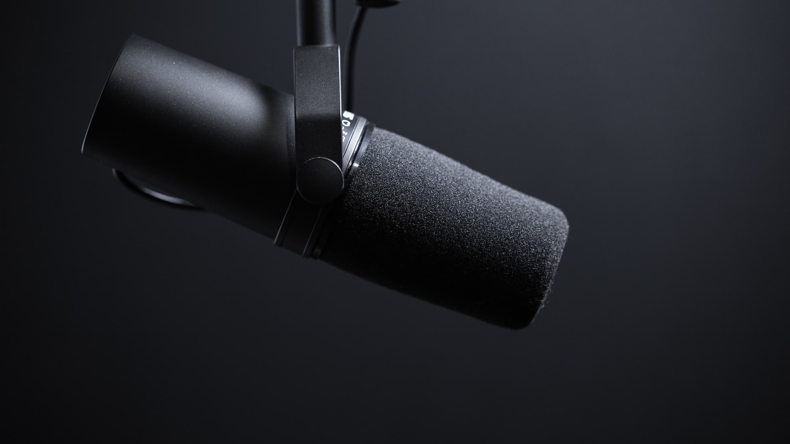 Microphone