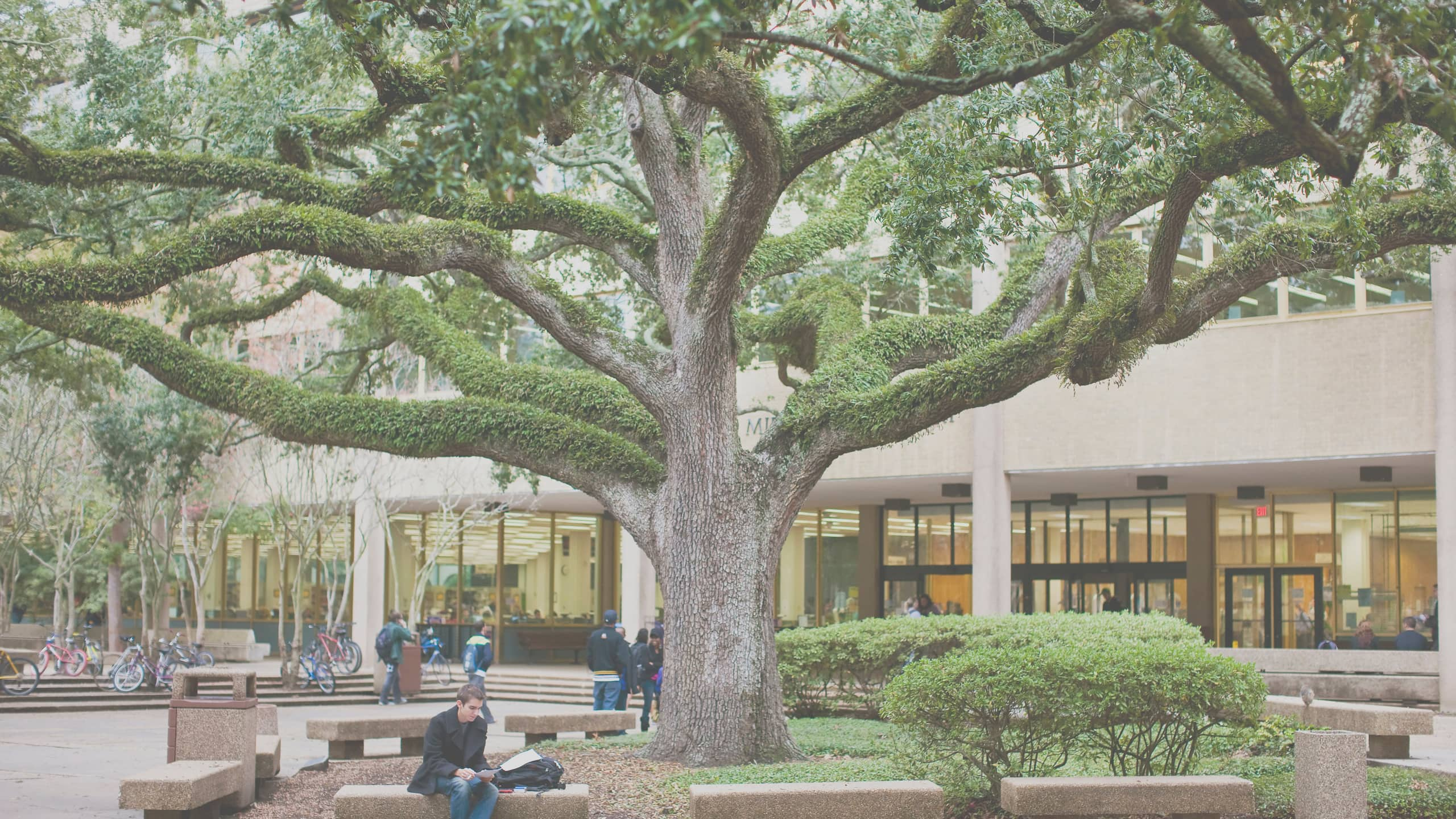 LSU Main Library exterior