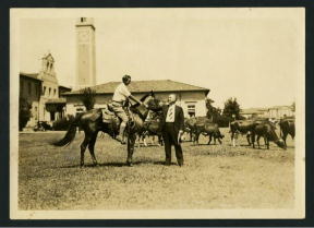 Elena Carter Percy trading cattle for room and board, 1932. Louisiana State University Photograph Collection, A5000, Louisiana State University Archives, LSU Libraries, Baton Rouge, La.