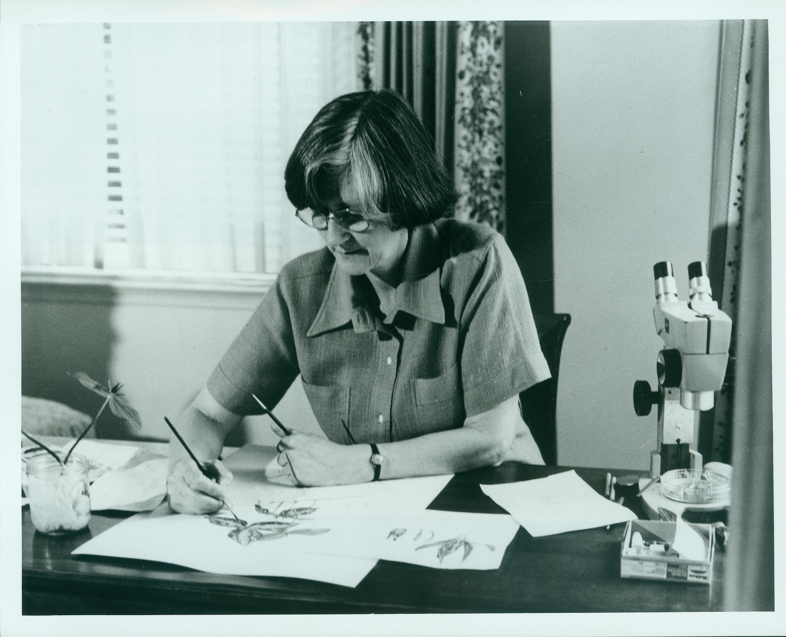 Margaret Stones at Work