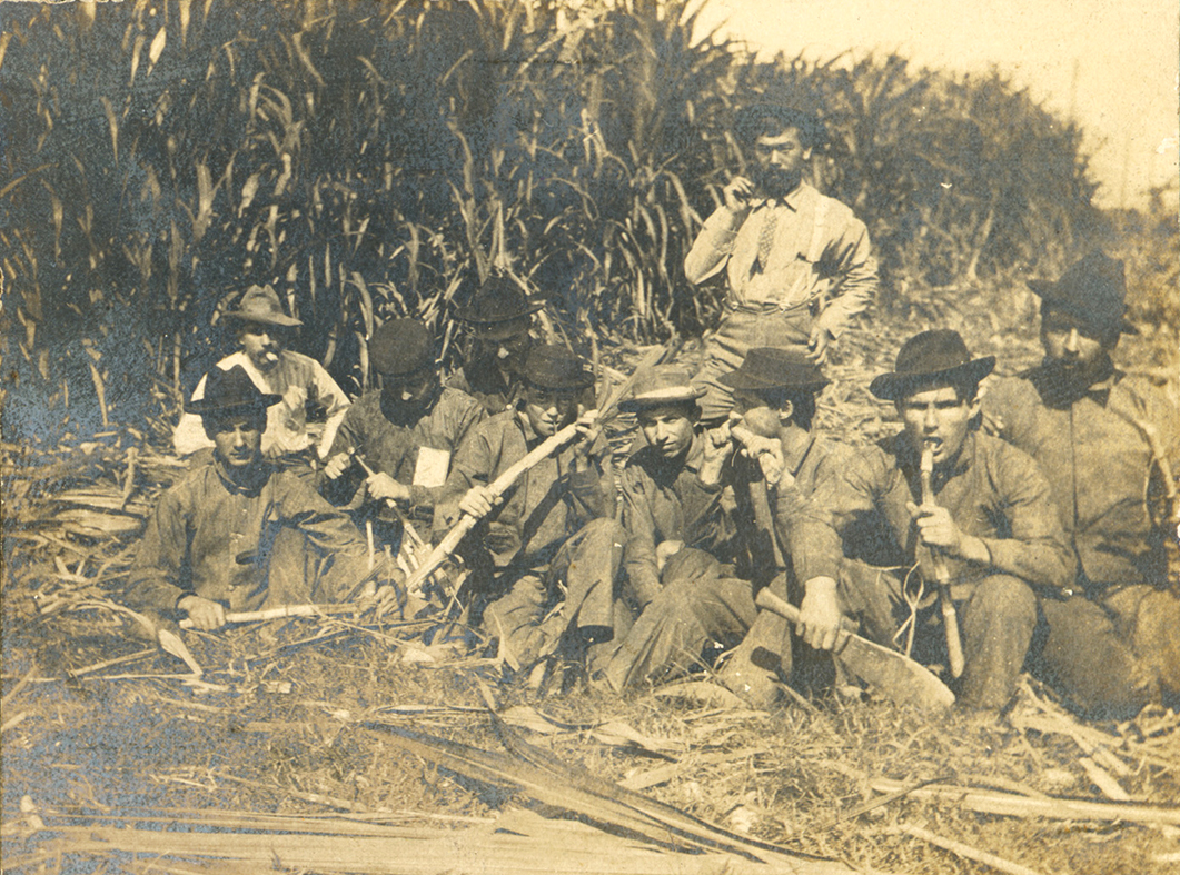 The Science of Sugar