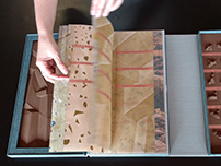 Wayfinding by Julie Chen