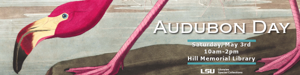 illustration of a flamingo reads Audubon Day, Saturday, May 3, 10 a.m. to 2 p.m., Hill Memorial Library